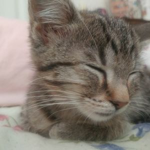 Meet your Posher, Julie